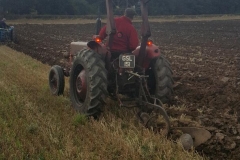 Grandfather harvest 2