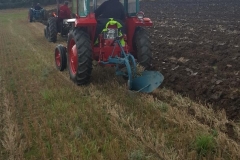 Grandfather harvest 3